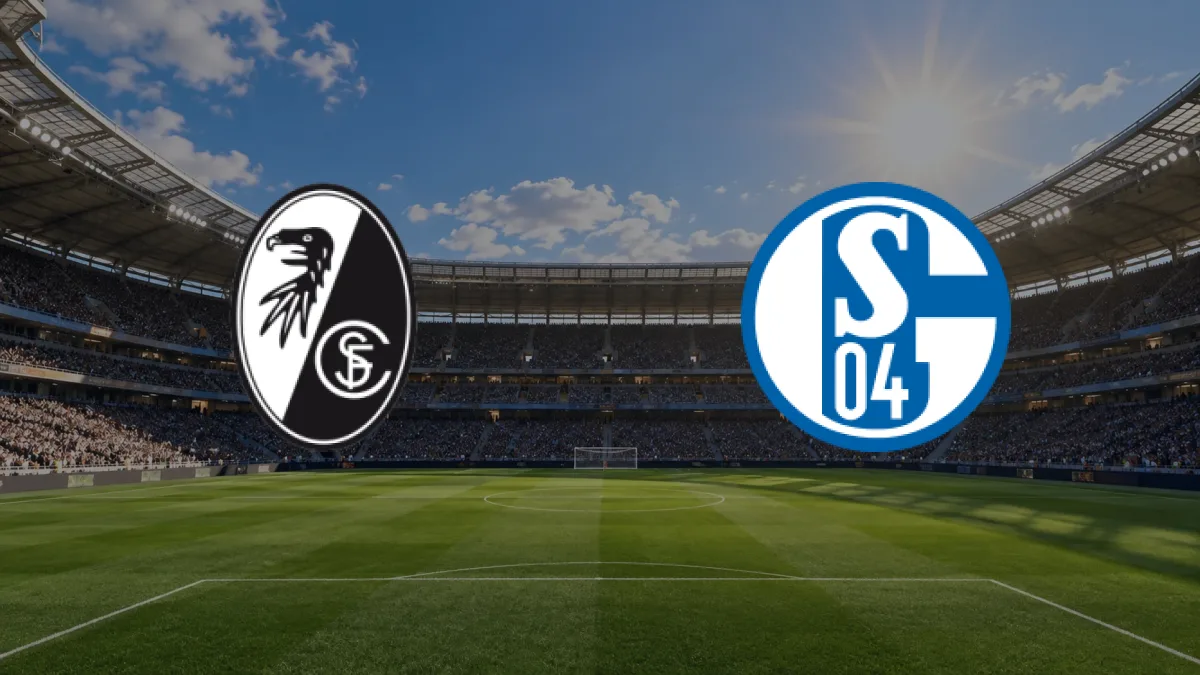Freiburg - Schalke 04 maçı