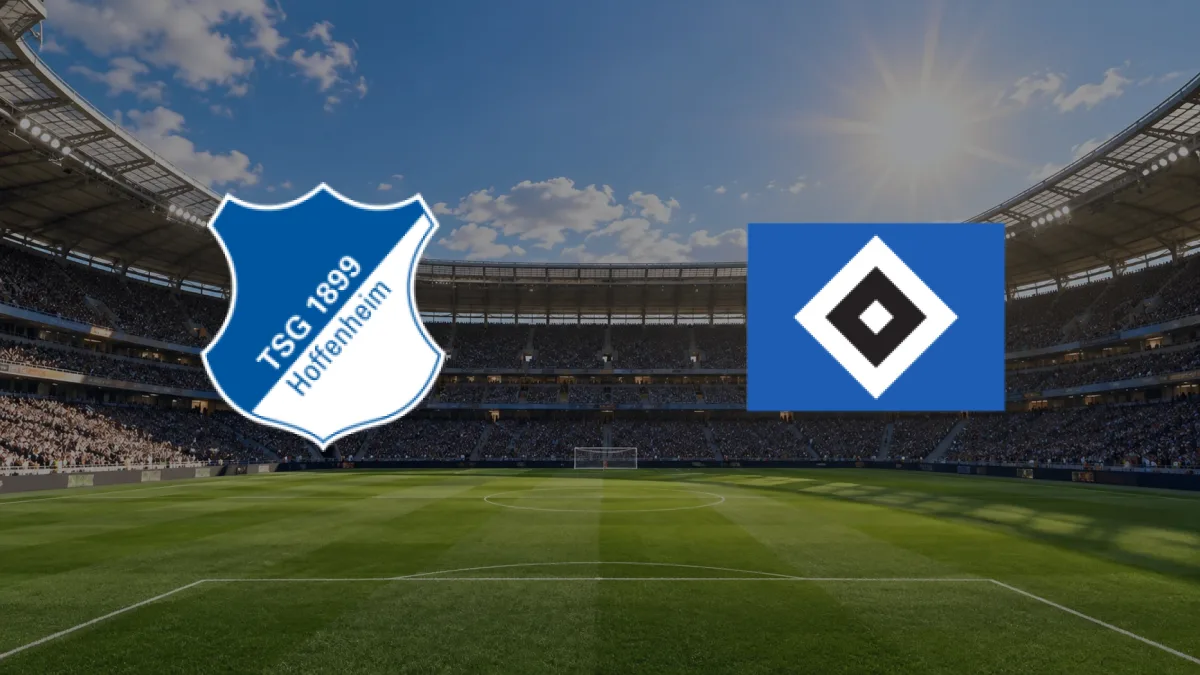Hoffenheim - Hamburg maçı