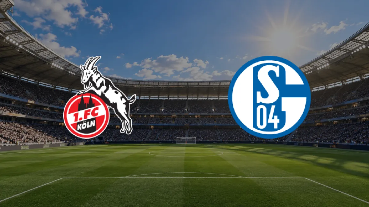 Köln - Schalke 04 maçı